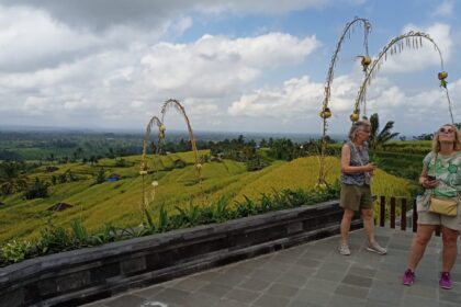 Area persawahan terasiring di Jatiluwih dilengkapi penjor jelang WWF 2024. (balitrending.com)