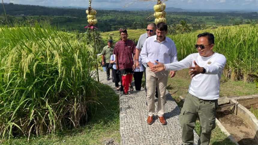 Manajer DTW Jatiluwih Ketut Purna menjelaskan tentang terasiring dan subak kepada mantan Presiden Hungaria Janos Ader (dua dari kanan) pada Sabtu (18/5/2024). (Istimewa)